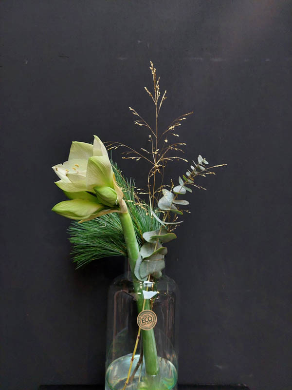 Witte amaryllis in vaas